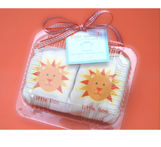 great baby shower gift for twins